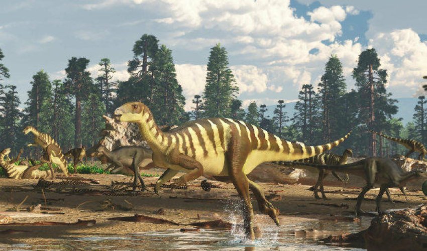 Tailandda yeni dinozavr növü tapıldı Tailandda yeni dinozavr növü tapıldı