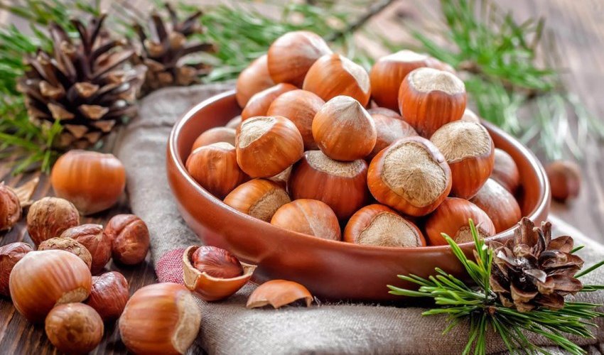 Azhazelnut поставит в ОАЭ фундука на $200 тыс. Azhazelnut поставит в ОАЭ фундука на $200 тыс.