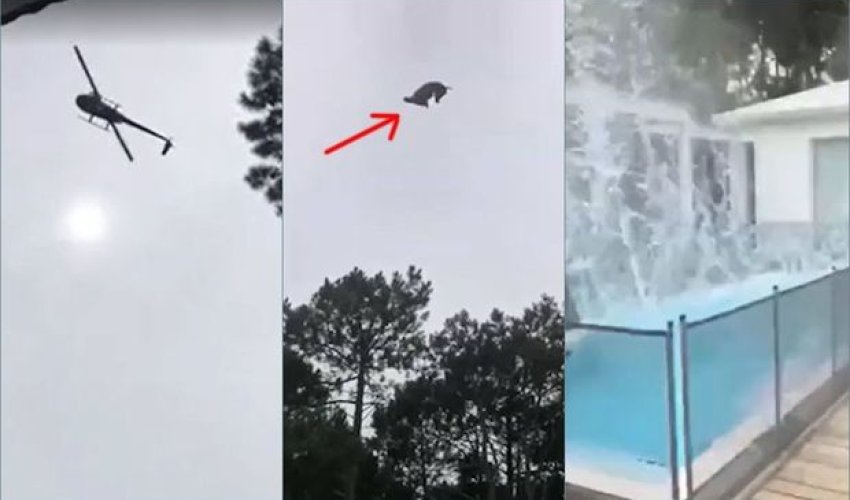 Milyonçunun hovuzuna helikopterdən heyvan atdılar – VİDEO Milyonçunun hovuzuna helikopterdən heyvan atdılar – VİDEO