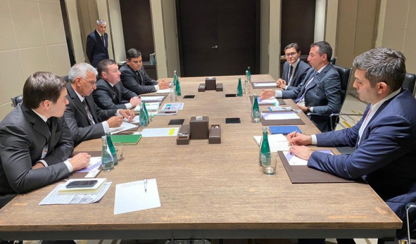SOCAR и туркменская NAPECO могут создать СП