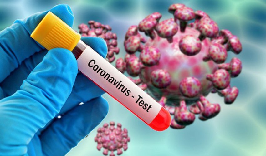 Türkiyədə böyük bir şəhərdə xeyli virus daşıyıcısı olduğu bildirildi - VİDEO