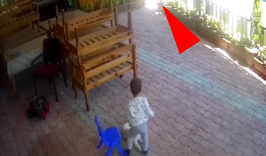 Təsadüfən çəkilən görüntülər izlənmə rekordu qırdı - Video Təsadüfən çəkilən görüntülər izlənmə rekordu qırdı - Video