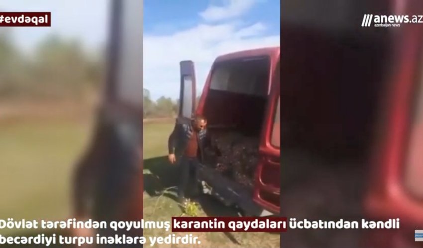 Koronavirusla bağlı qadağalar ücbatından müflis olmuş kəndlilərdən etiraz aksiyası - VİDEO Koronavirusla bağlı qadağalar ücbatından müflis olmuş kəndlilərdən etiraz aksiyası - VİDEO
