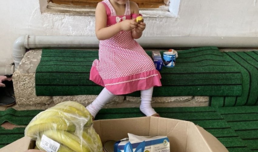 Leyla Əliyevanın təşəbbüsü ilə yardım aksiyası keçirildi  - FOTOLAR