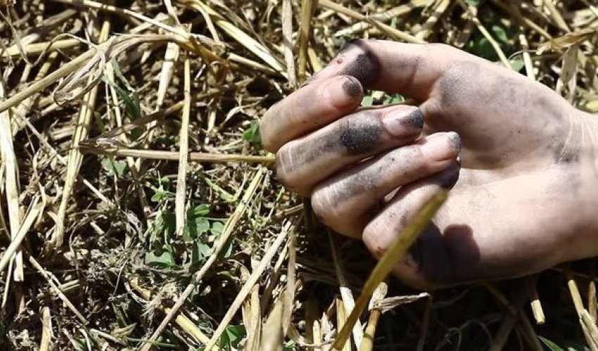 Bakıda 28 yaşlı gənc küçədə öldü Bakıda 28 yaşlı gənc küçədə öldü