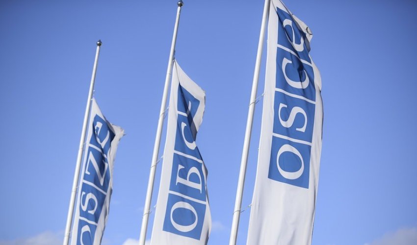 В ОБСЕ обеспокоены применением силы против журналистов в США В ОБСЕ обеспокоены применением силы против журналистов в США