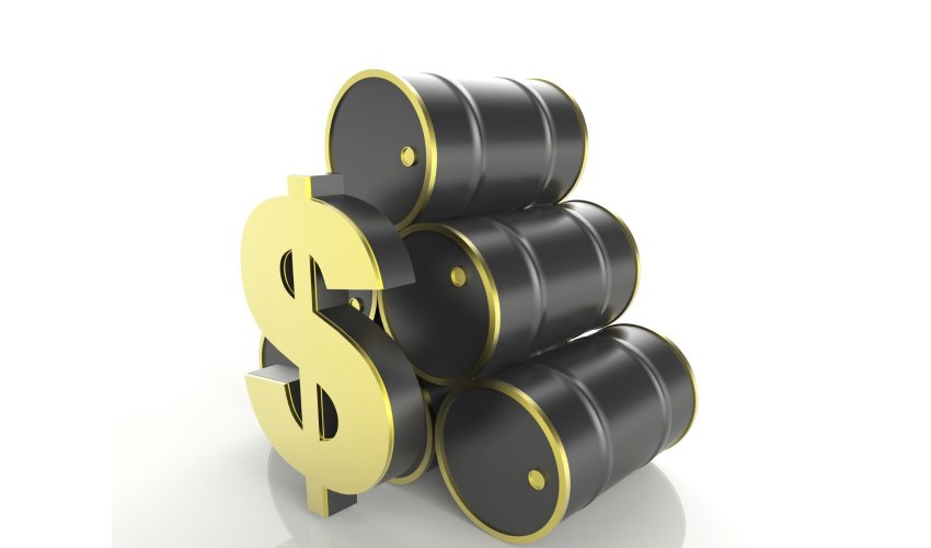 Депутат: Неправильно представлять нефть в качестве проблемы для экономики Депутат: Неправильно представлять нефть в качестве проблемы для экономики