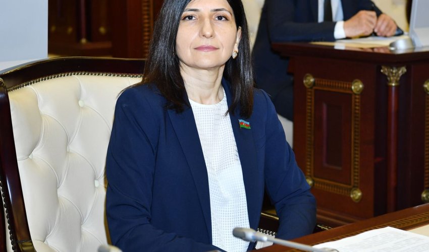 Sevil Mikayılova: Azərbaycan Prezidentinin apardığı siyasətin əsasında vətəndaşların təhlükəsizliyi və sağlamlığı dayanır (VİDEO)