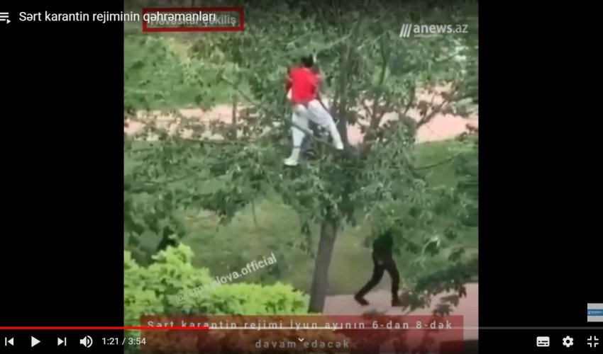 Onlar sərt karantin rejiminin qəhrəmanlarına çevrildilər- VİDEO Onlar sərt karantin rejiminin qəhrəmanlarına çevrildilər- VİDEO