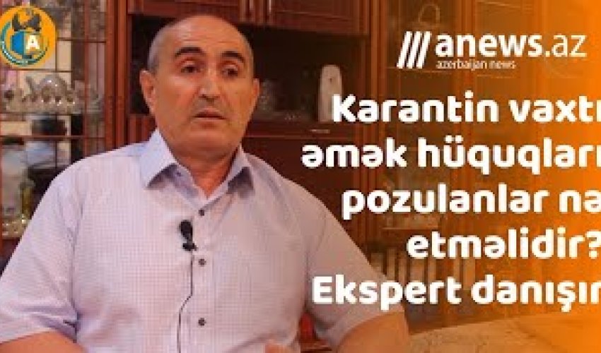 Karantin vaxtı əmək hüquqları pozulanlar nə etməlidir? -VİDEO