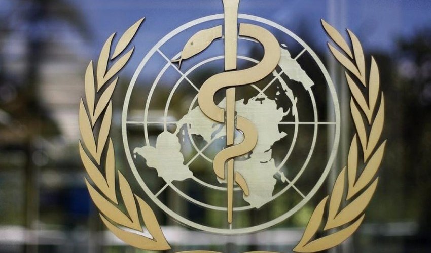 ВОЗ не считает коронавирус сезонным заболеванием ВОЗ не считает коронавирус сезонным заболеванием