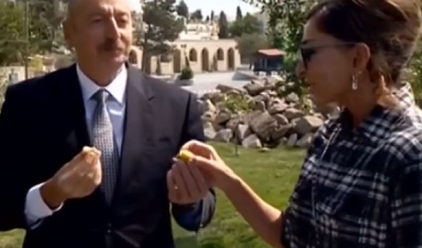 Prezident xanımı ilə Balaxanıda əncir yedi - VİDEO Prezident xanımı ilə Balaxanıda əncir yedi - VİDEO