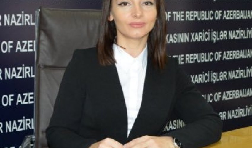 “Ermənistan beynəlxalq məhkəmələr qarşısında cavab verməlidir”