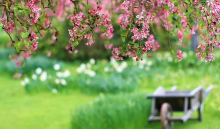 DİQQƏT! Hava ilə bağlı açıqlama