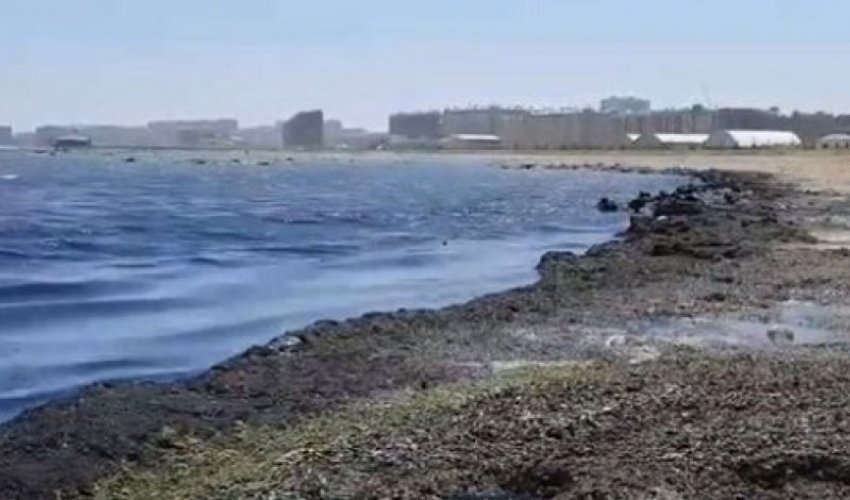 ИВ Сумгайыта прокомментировала сообщения о зловонии на городском бульваре ИВ Сумгайыта прокомментировала сообщения о зловонии на городском бульваре