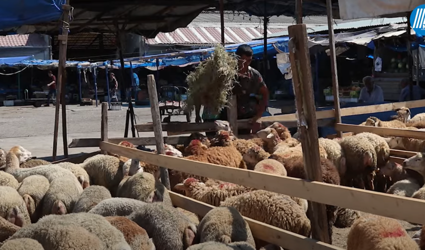 Bakıda Qurban bayramı ovqatı - Video