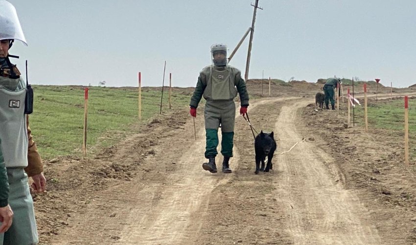Cocuq Mərcanlı ərazisində zərərsizləşdirilən minaların sayı AÇIQLANIB Cocuq Mərcanlı ərazisində zərərsizləşdirilən minaların sayı AÇIQLANIB
