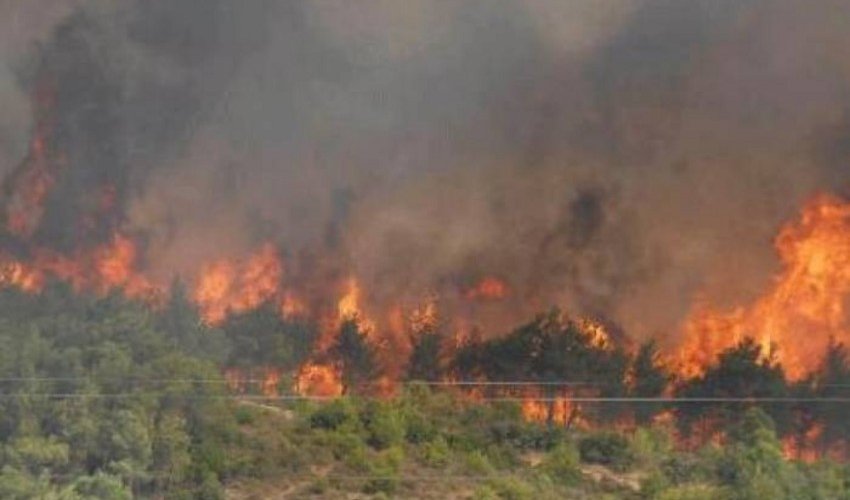 Afina yaxınlığında meşə yanğınları tüğyan edir Afina yaxınlığında meşə yanğınları tüğyan edir