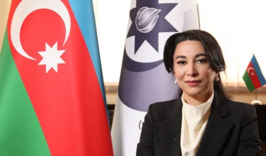 Ombudsmandan sərhəddəki gərginliklə bağlı AÇIQLAMA