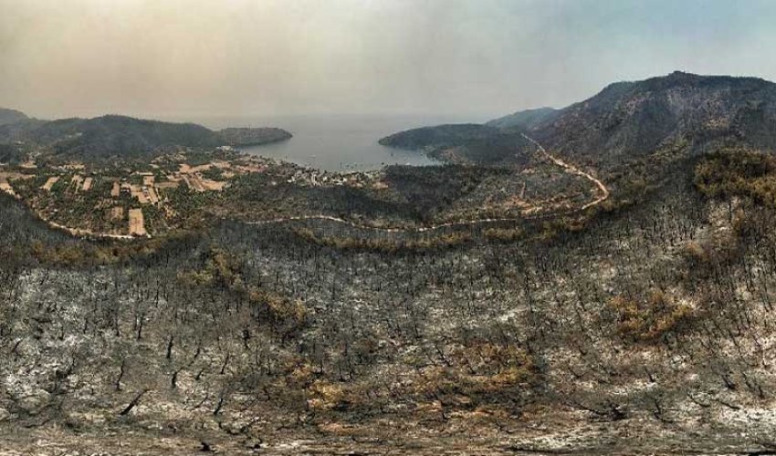 Bodrum və Milas qara rəngə boyandı: Ürək dağlayan görüntülər (VİDEO/ FOTO)