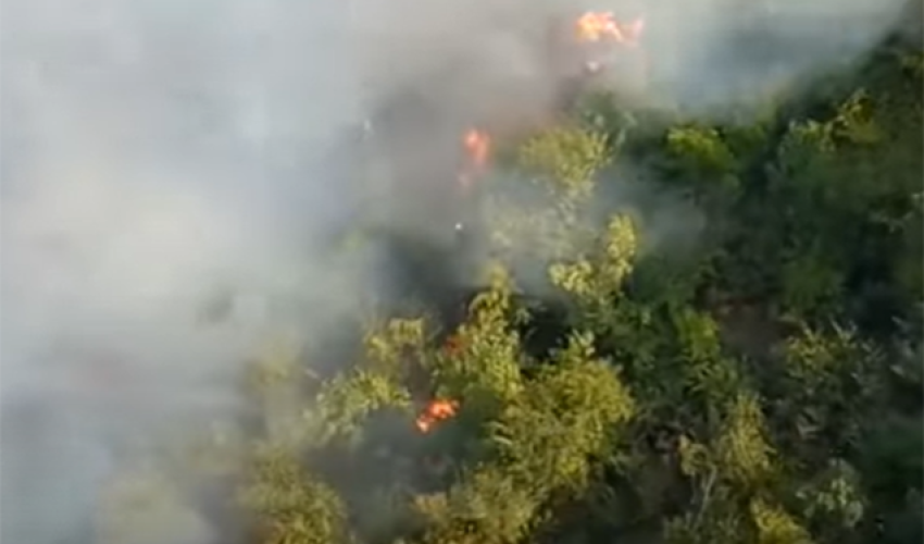 Qəbələdə külək yanğını gücləndirib, iki helikopter cəlb edilib - Video