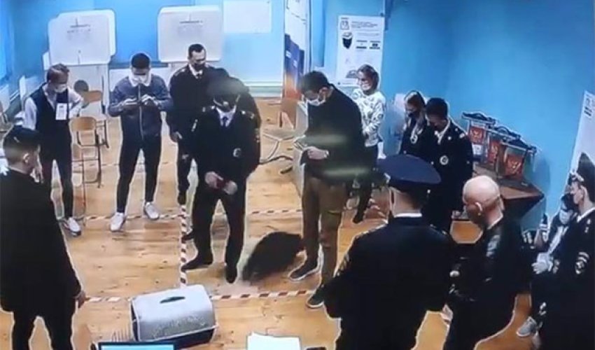 Moskvada seçki məntəqəsində polisin yenotla “imtahanı” - Video