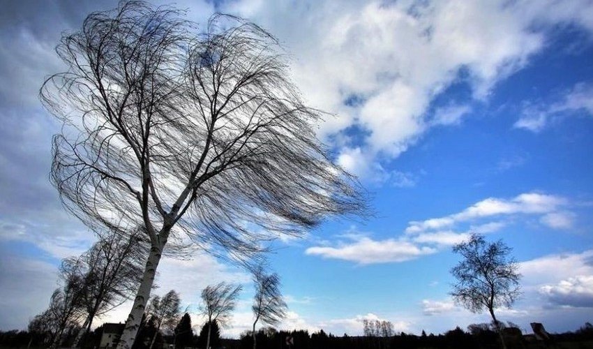 Strong wind expected in Azerbaijan on October 22