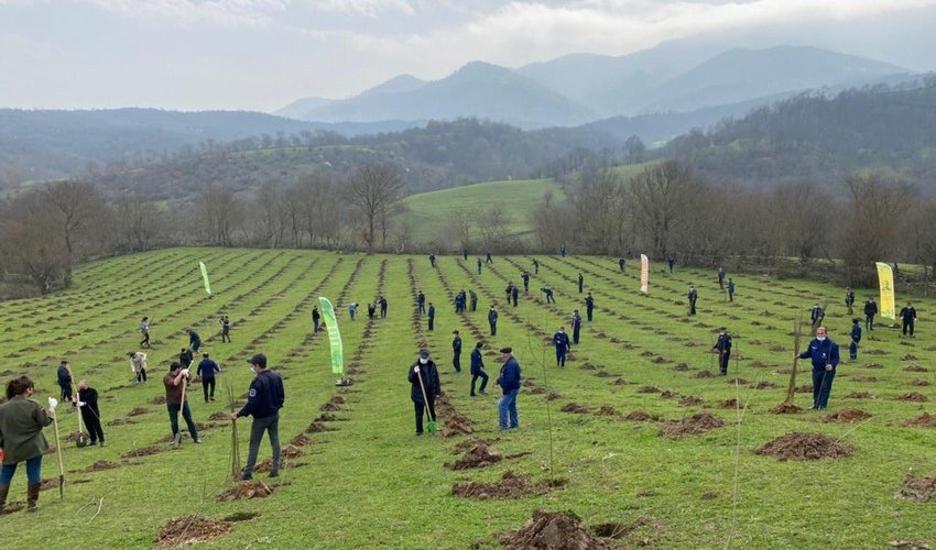 Azerbaijan joins Turkish action, 111,000 trees to be planted