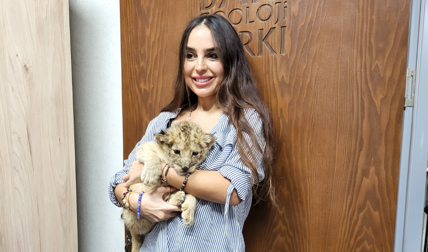 Baku Zoo welcomes baby lion cub