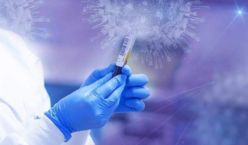 Ученые работают над вакциной для пожизненного иммунитета от COVID-19 Ученые работают над вакциной для пожизненного иммунитета от COVID-19