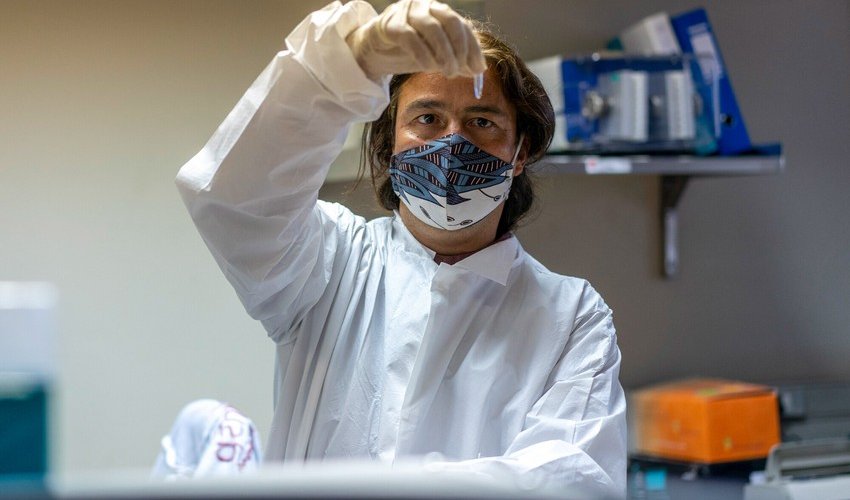 New Zealand to apply three phase public health response to Omicron New Zealand to apply three phase public health response to Omicron