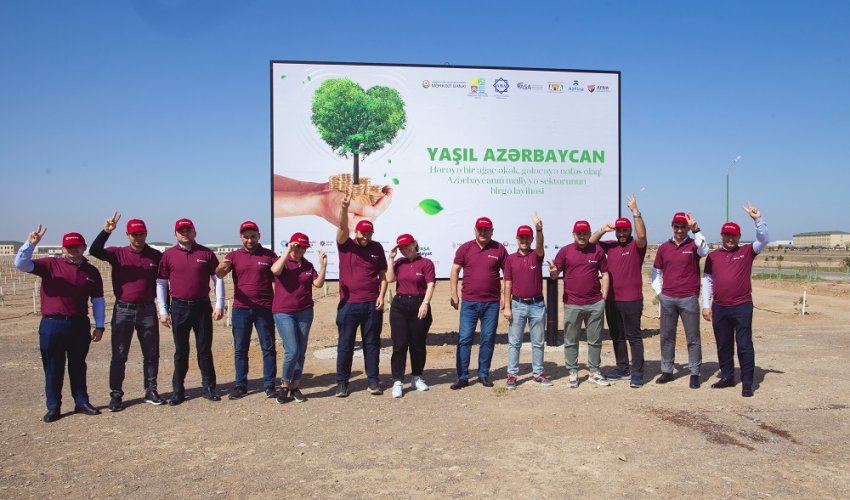 Kapital Bank əməkdaşları ağacəkmə aksiyasında iştirak etdi- FOTOLAR