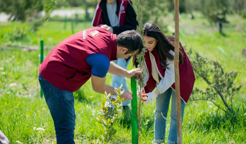 Daha bir neçə rayonda “Vətən Bağı” yaradıldı