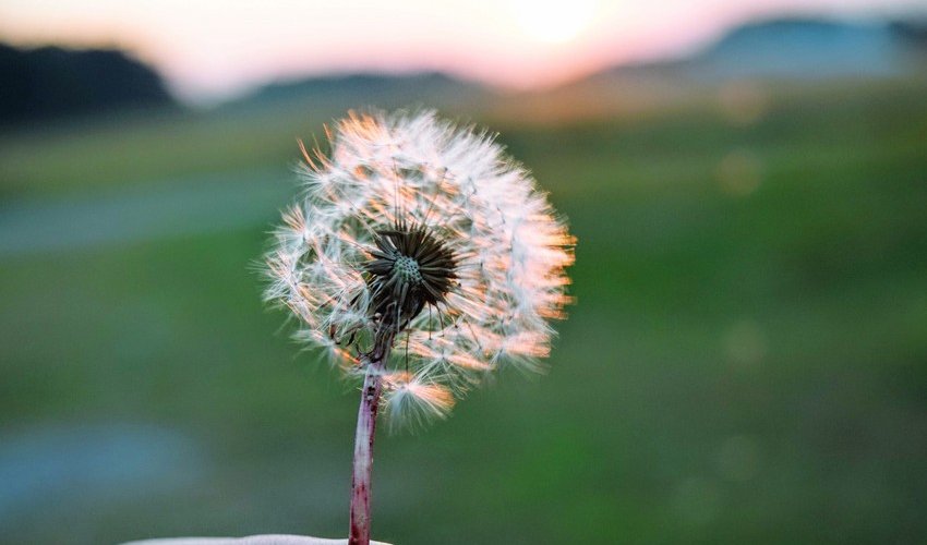 Weather temperature to reach 27C tomorrow