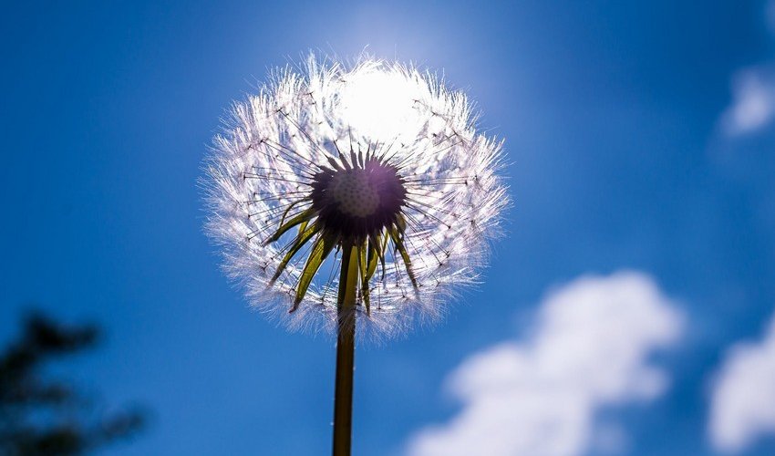 Azerbaijan weather forecast for July 5