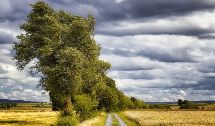 Azerbaijan weather forecast for July 22