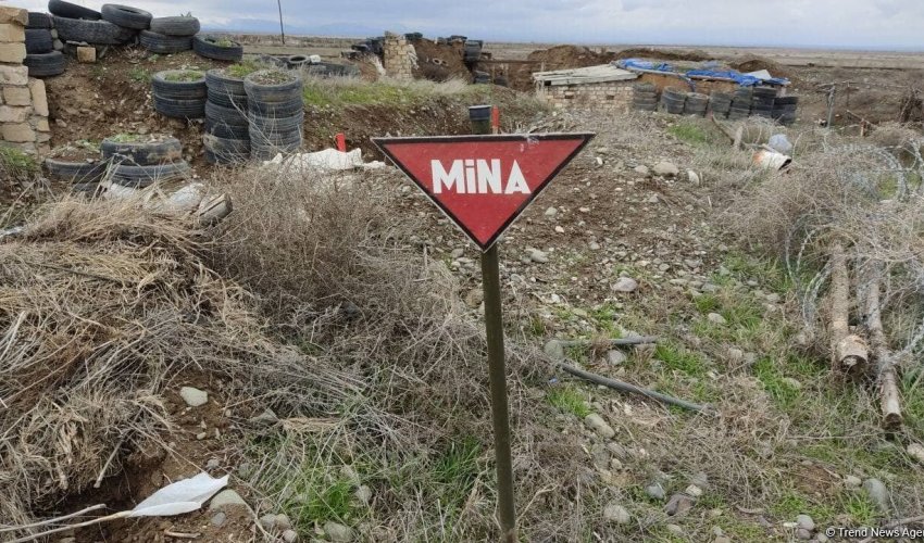 Another 195 mines found in liberated territories of Azerbaijan