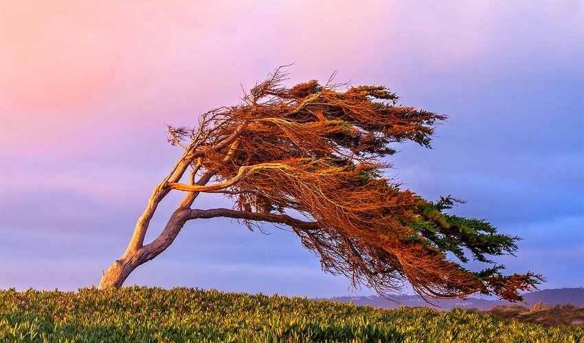 Strong wind expected in Baku