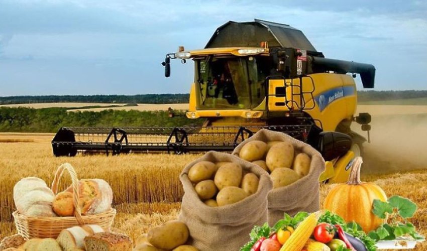 Kənd təsərrüfatı məhsullarının istehsalı barədə SON RƏQƏMLƏR Kənd təsərrüfatı məhsullarının istehsalı barədə SON RƏQƏMLƏR