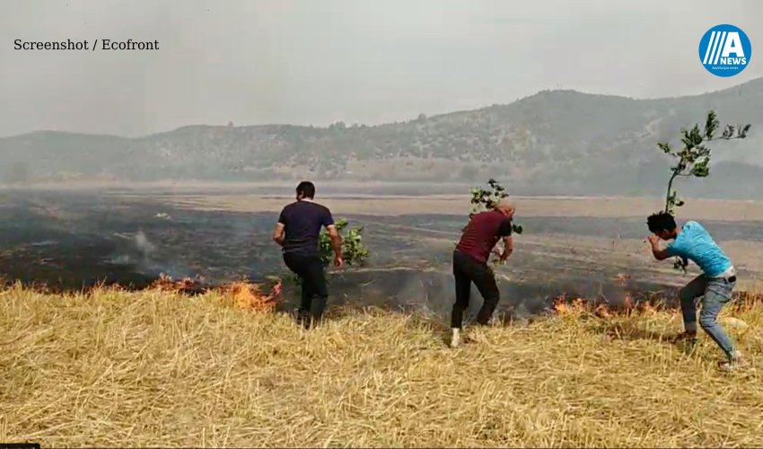 Şabran və Qubadakı yanğın yerlərindən  yeni GÖRÜNTÜLƏR