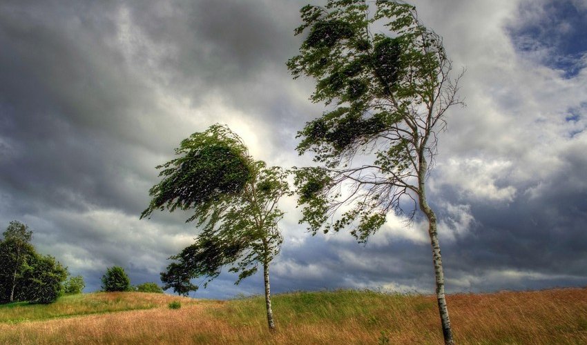 Strong wind expected in Baku tomorrow