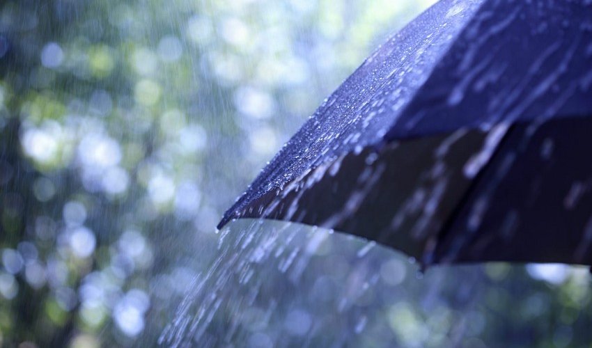 Wet weather to continue tomorrow