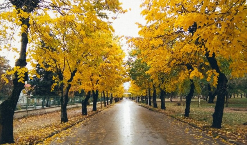Bu ay temperatur yüksək olub Bu ay temperatur yüksək olub