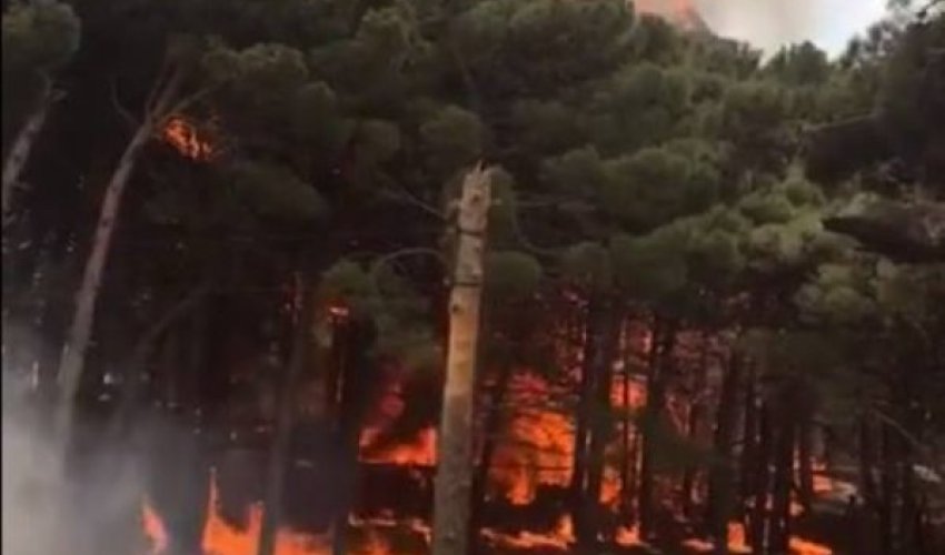 Bakıda yanğın ağaclıq əraziyə keçib Bakıda yanğın ağaclıq əraziyə keçib