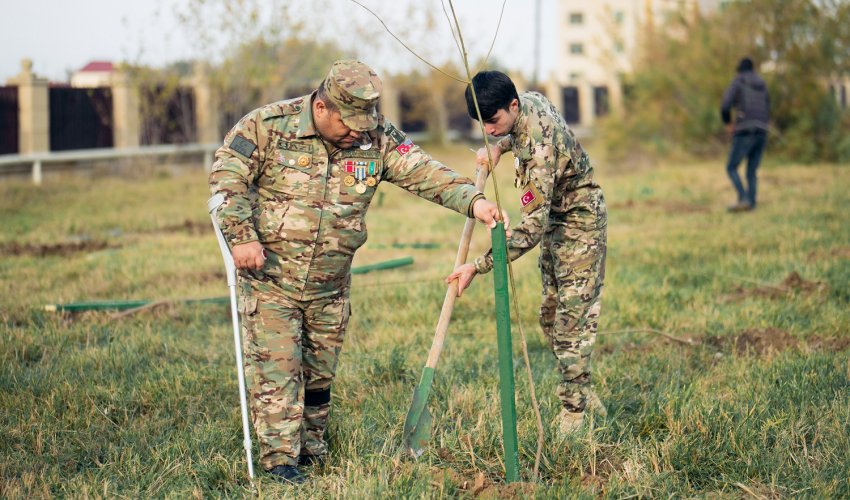 Daha 6 rayonda “Vətən Bağı” yaradıldı - FOTO