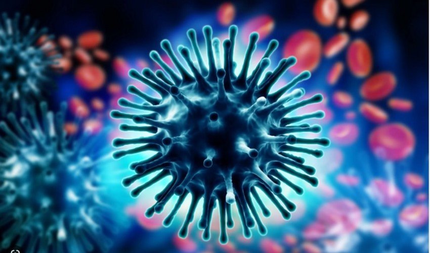 Səhiyyə Nazirliyi - Azərbaycanda influenza virusu yayılıb Səhiyyə Nazirliyi - Azərbaycanda influenza virusu yayılıb