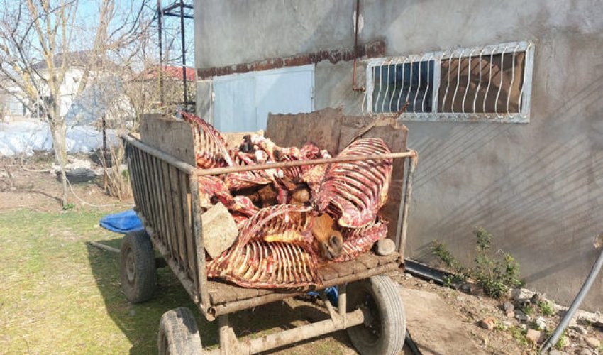 Cəlilabadda at əti satmaq istəyən şəxs saxlanılıb Cəlilabadda at əti satmaq istəyən şəxs saxlanılıb