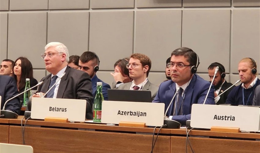 Azərbaycan nümayəndə heyəti Vyanada ATƏT-in toplantısında iştirak edib