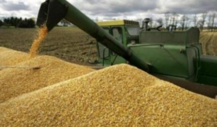 Russian Deputy FM: Grain deal extended Russian Deputy FM: Grain deal extended