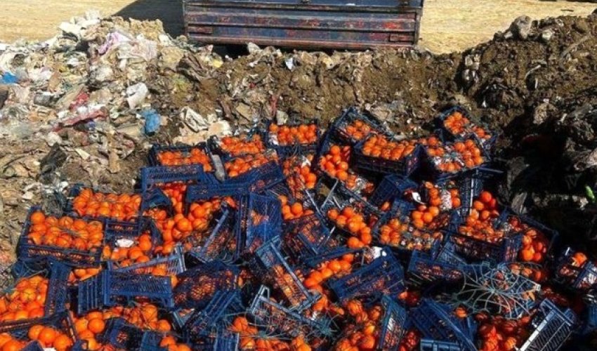 İrandan gətirilən portağal və bibərdə viruslar aşkarlandı İrandan gətirilən portağal və bibərdə viruslar aşkarlandı